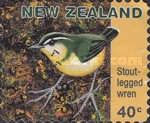 Stout-legged / Yaldwin's Wren (Pachyplichas yaldwyni) - Bklt
