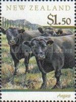 Aberdeen Angus (Bos primigenius taurus)
