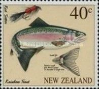 Rainbow Trout (Salmo gairdneri), "Red Setter"