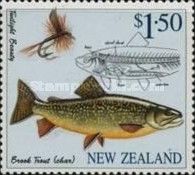 Brook Trout (Salvelinus fontinalis), „Twilight Beauty“