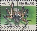 Giant Weta (Deinacrida sp)