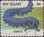 Velvet Worm (Peripatoides novazelandiae)