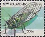 Chorus Cicada (Amphipsalta zealandica)
