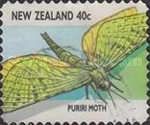Puriri Moth (Aenetus virescens)
