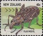 Flax Weevil (Anagotus fairburni)