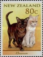 Burmese (Felis silvestris catus)