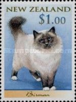Birman (Felis silvestris catus)