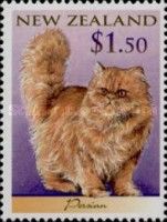 Persian Cat (Felis silvestris catus)