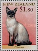 Siamese Cat (Felis silvestris catus)