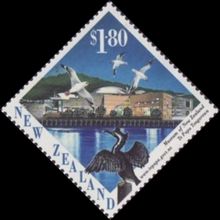 Museum & Sea Birds
