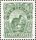 Brown Kiwi (Apteryx australis)