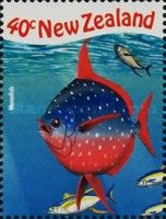 Moonfish (Lampris guttatus)