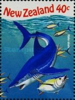 Shortfin Mako Shark (Isurus oxyrinchus)