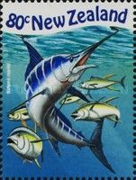 Striped Marlin (Tetrapturus audax)