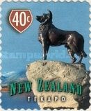 Tekapo Collie