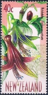 Kotukutuku (Fuchsia excorticata)