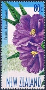 Poroporo (Solanum laciniatum)