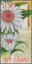 Teteaweka (Olearia angustfolia)
