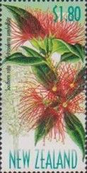 Southern Rata (Metrosideros umbellata)