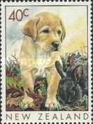 Labrador Puppy and Netherland Dwarf Rabbit