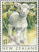 Lamb