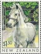 Welsh Pony