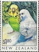 Two Budgerigars