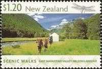 East Matakitaki Valley.  Nelson Lakes N.P.