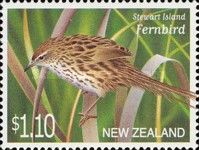 Stewart Island Fernbird (Poodytes punctatus stewartianus)