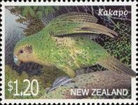 Kakapo (Strigops habroptilus)