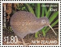 Okarito Brown Kiwi (Apteryx rowi)