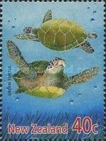 Green Sea Turtle (Chelonia mydas)