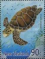 Loggerhead (Caretta caretta)