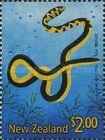 Yellow-bellied Sea Snake (Pelamis platura)