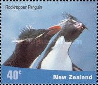 Southern Rockhopper Penguin (Eudyptes chrysocome)