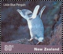 Little Penguin (Eudyptula minor)