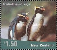 Fiordland Crested Penguin (Eudyptes pachyrhynchus)