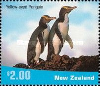 Yellow-eyed Penguin (Megadyptes antipodes)