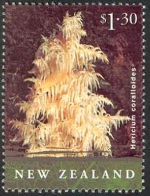 Hericium coralloides