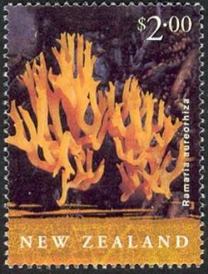 Ramaria aureorhiza