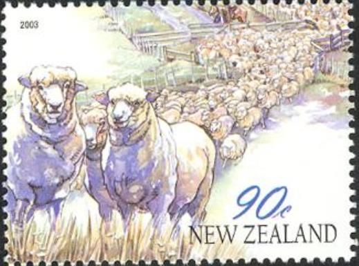 Sheep Mustering