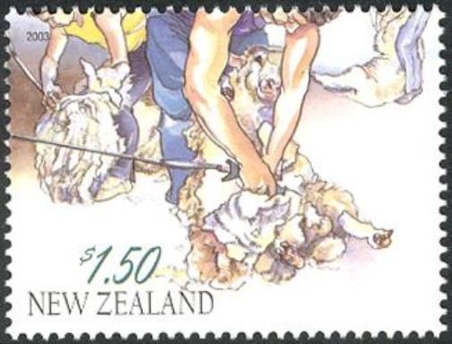Sheep Shearing