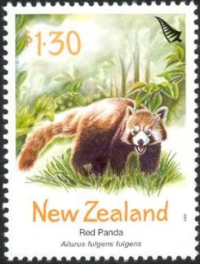Red Panda (Ailurus fulgens fulgens)