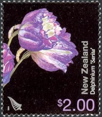 Delphinium 'Sarita'
