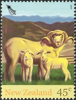 Domestic Sheep (Ovis ammon aries)