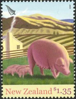 Domestic Pig (Sus scrofa domestica)