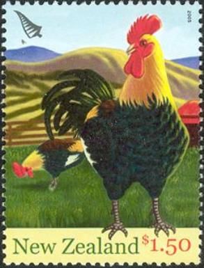 Rooster (Gallus gallus domesticus)