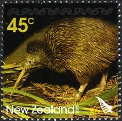 Southern Brown Kiwi (Apteryx australis)