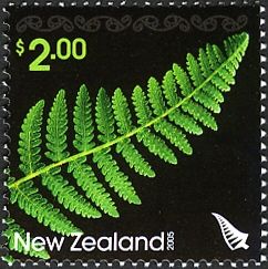 Fern