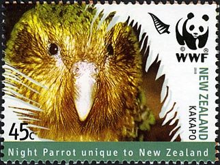 Kakapo.  Night Parrot Unique to New Zealand